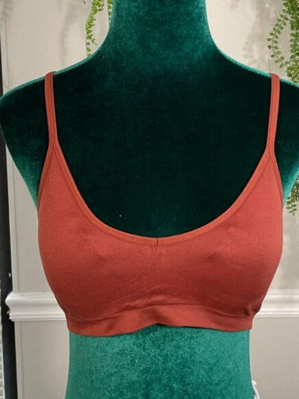 Zeanna Outfitters | Seamless Comfort Wirefree Bralette in Maroon Brown